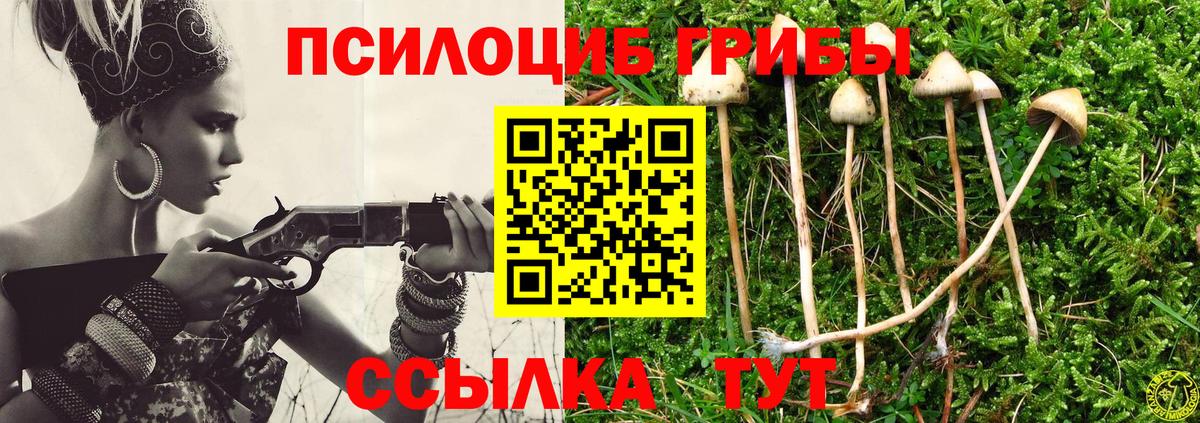 Галлюциногенные грибы Psilocybine cubensis  как найти закладки  Жуковский  Вход с VPN 