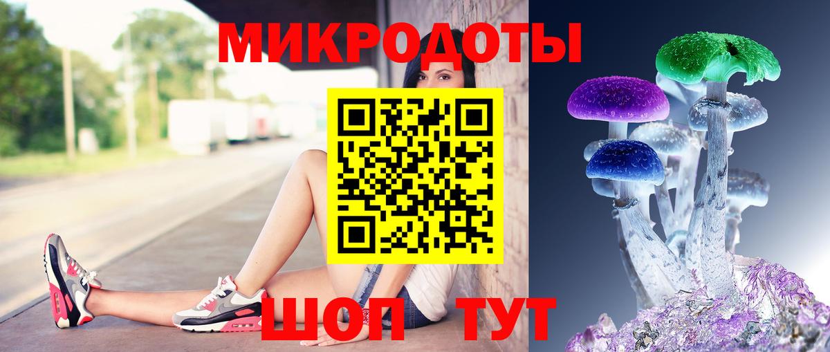 Псилоцибиновые грибы GOLDEN TEACHER Жуковский